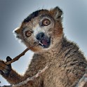 Madagascar 595-1 copia